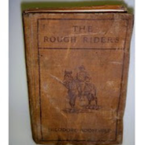 Teddy publishes a book