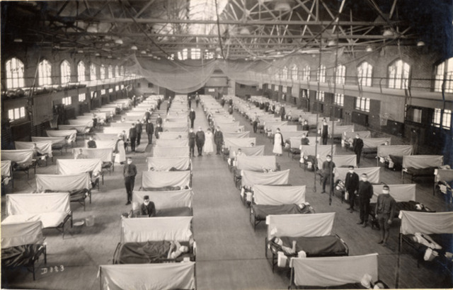 Influenza epidemic