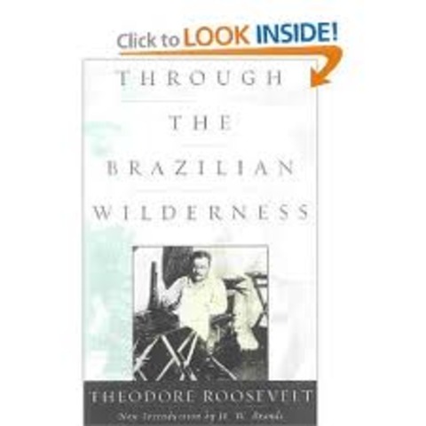 Teddy publishes another book