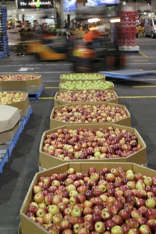 The Underbelly of a City