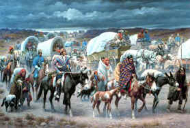 Cherokee Nation v. Georgia