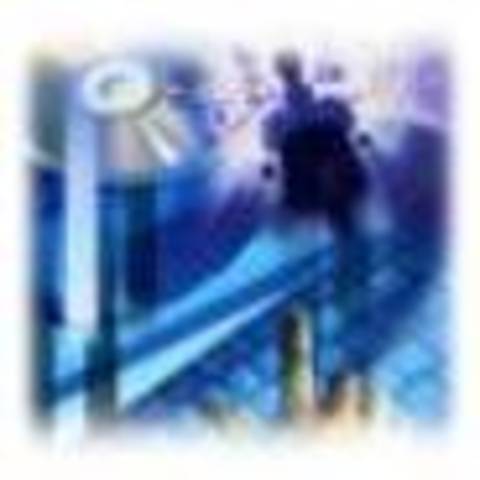 Selección de Tecnología Informática