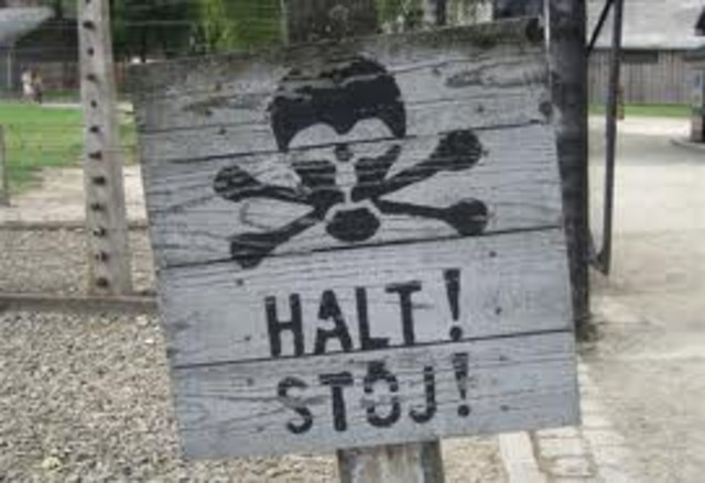 Drop in death rate in concentration camps