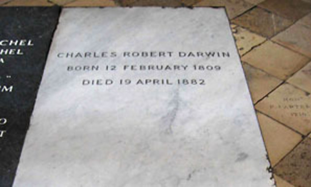 Muerte de Darwin