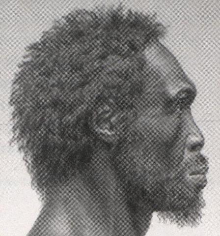 Homo Sapiens Idaltu 1997/2003