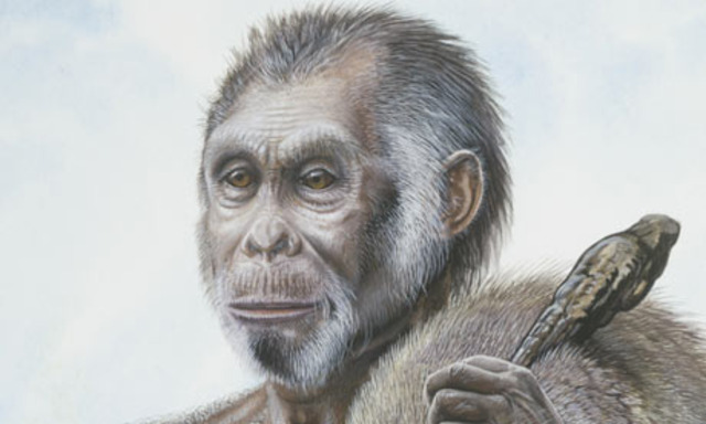 Homo Floresiensis 2003/2004