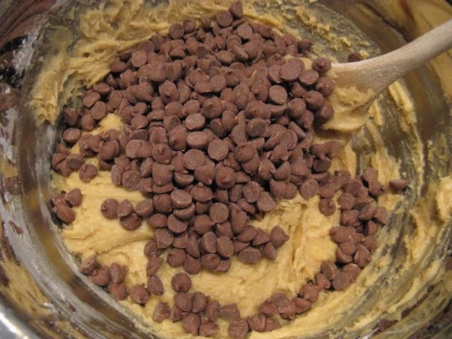 Science and Tecnology : Chocolate Chips