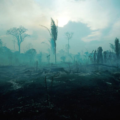 Timeline: Amazon Deforestation - America