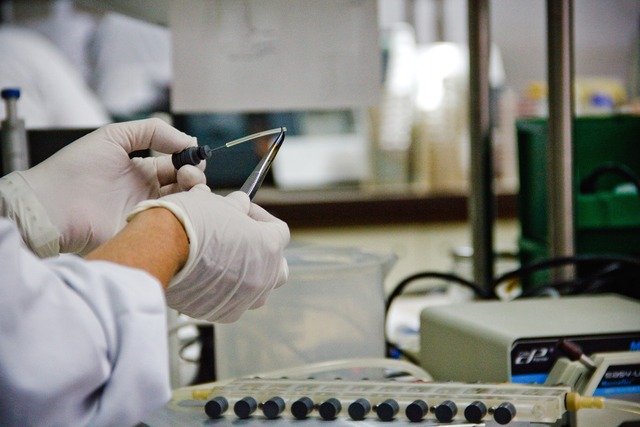 Patentacion de microbios