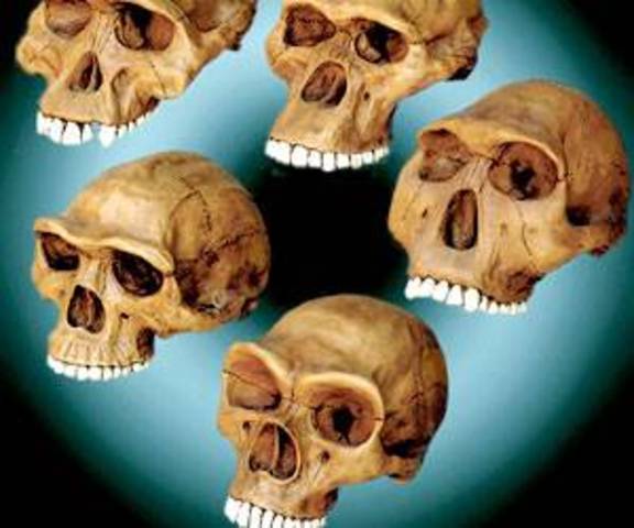 Técnica de Absorción de Flúor