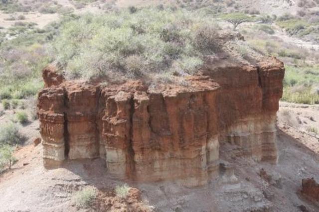 La Garganta de Olduvai