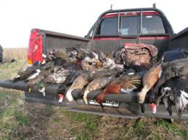 I went hunting with my brother for the first time