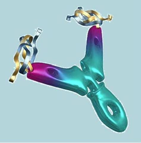 Anticuerpos Monoclonales