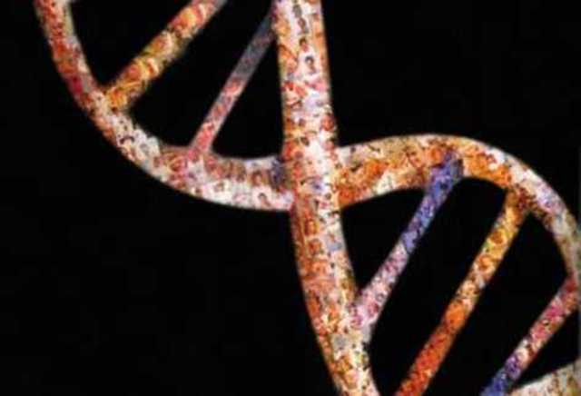 Primeras secuencia de genomas