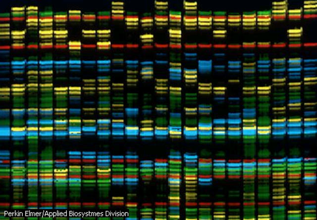 Catalogo de genes humanos