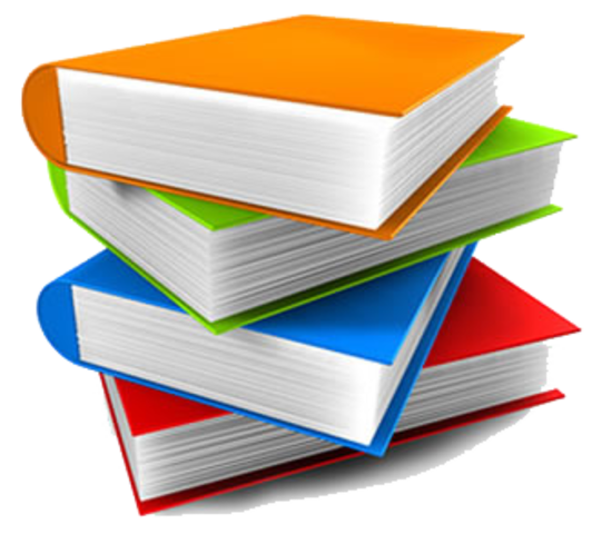 utilizacion de libros auxiliares