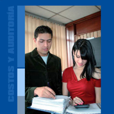 Timeline: COSTOS Y AUDITORIA