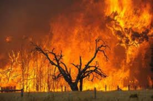 Ash Wednesday bushfires killed 72 people in Victoria