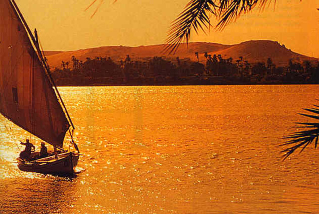 Tratado, de Glido Toglieta.