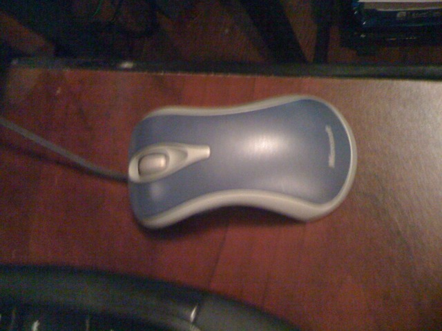 Computer Mouse