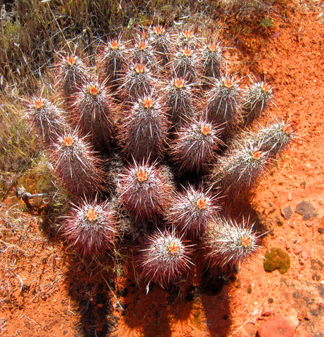 Nicole & Maughn hike Prospector Trail