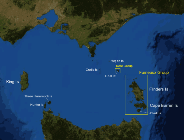 Bass Strait is Discovered