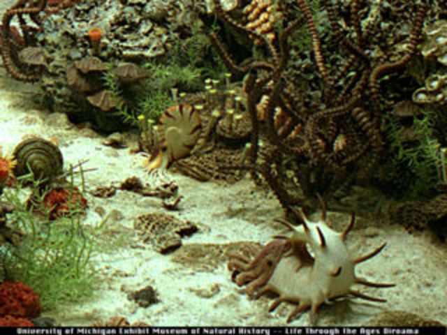 Permian Period 283-247 million years ago