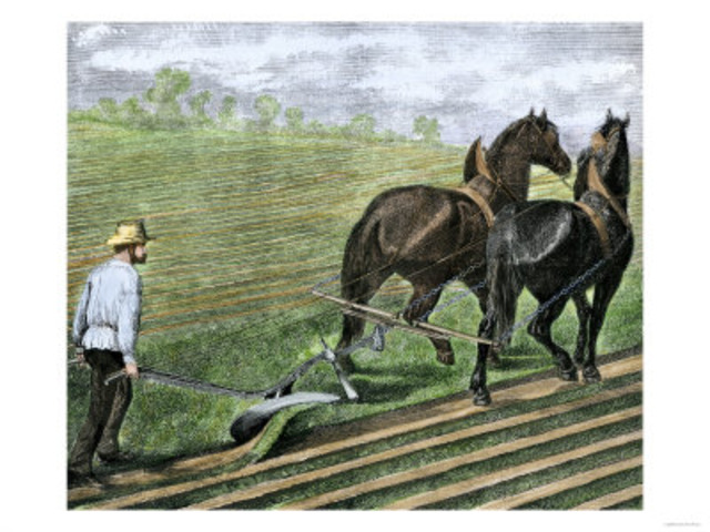 Jonathan Turner’s Plan