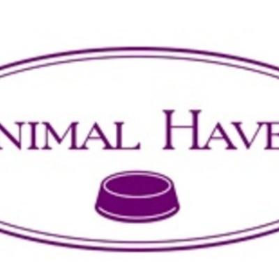 Timeline: Capital Campaign