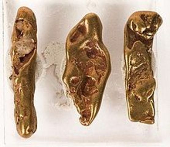 California Gold Rush