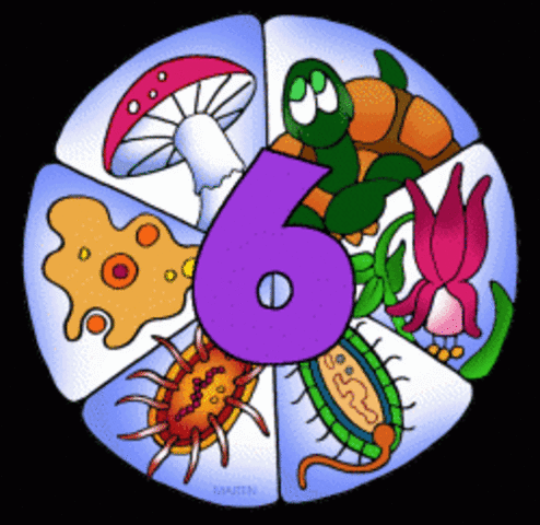 Begin Unit on Six Kingdoms