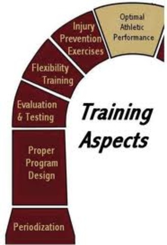 First Athletic Curriculum Model