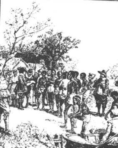 Pro-Slavery Argument