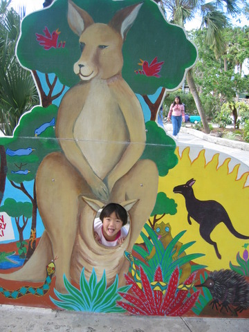 Me, the kangaroo