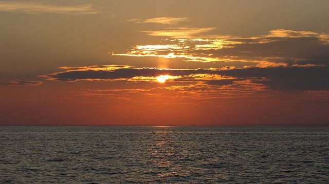 Mt. Sinai to Pt. Jefferson Run with Starke Naked