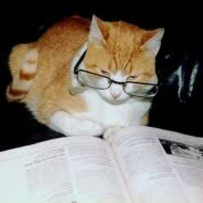 Timeline: Reading timeline