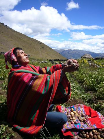 Reforms of indigenous Cultures