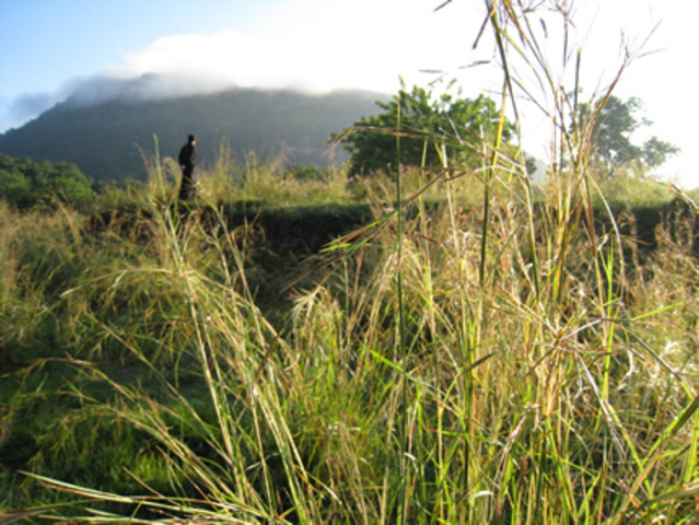 LA EXPEDICION BOTANICA