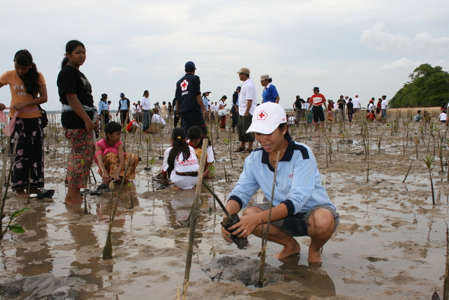 Climate change: What can you do? Make your move.