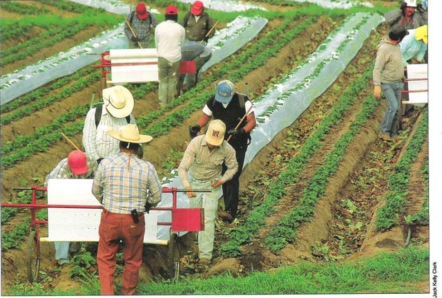 1986 - Immigration Reform and Control Act