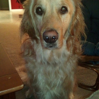 Timeline: Sample Creative Writing Personal Memior Timeline