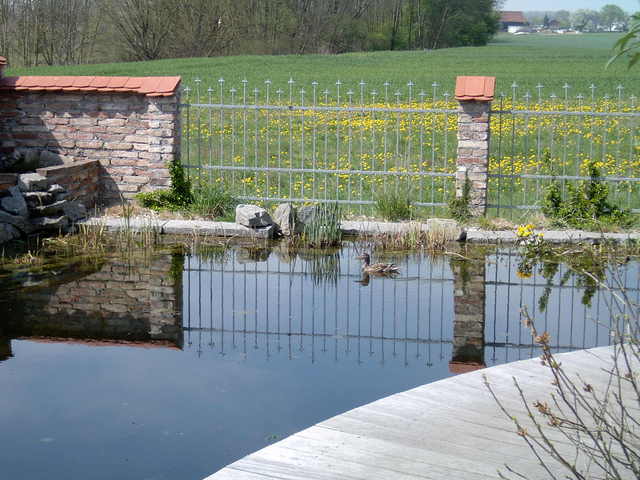 Unser Schwimmteich ist fertig