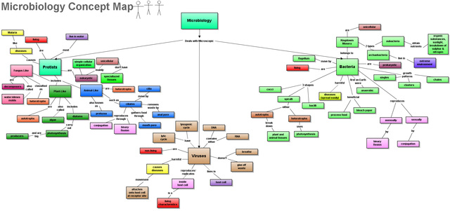 Using laptops to create Microbiology Concept Maps