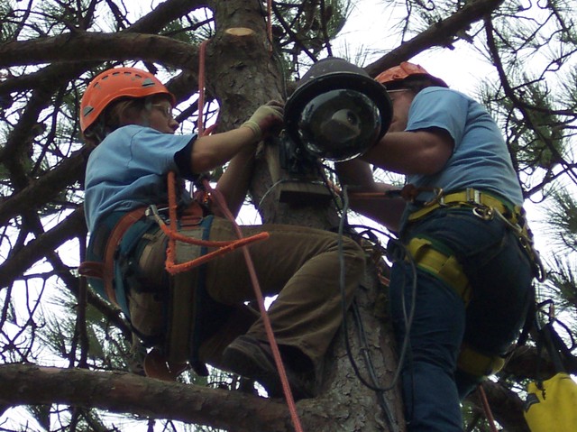 Eagle cam installation