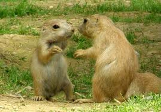 Lewis and Clark return