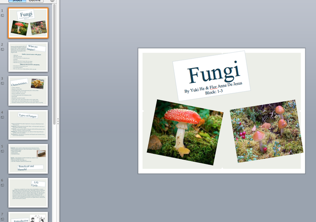 iPad Assignment on Kingdom Fungi