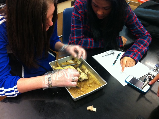 Students continue use of iPads with E-Book and E-Learning Activities