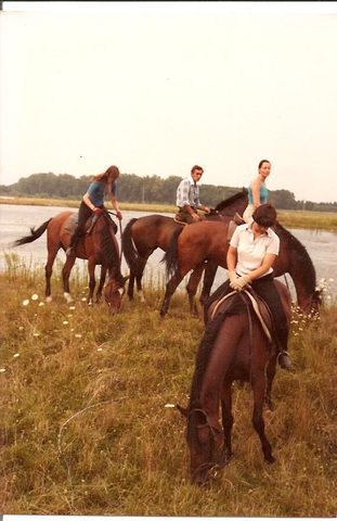 Reiterferien in Ungarn
