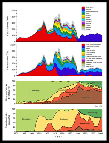 Climate Change Solutions