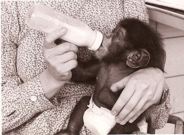 Background-Exposition 1